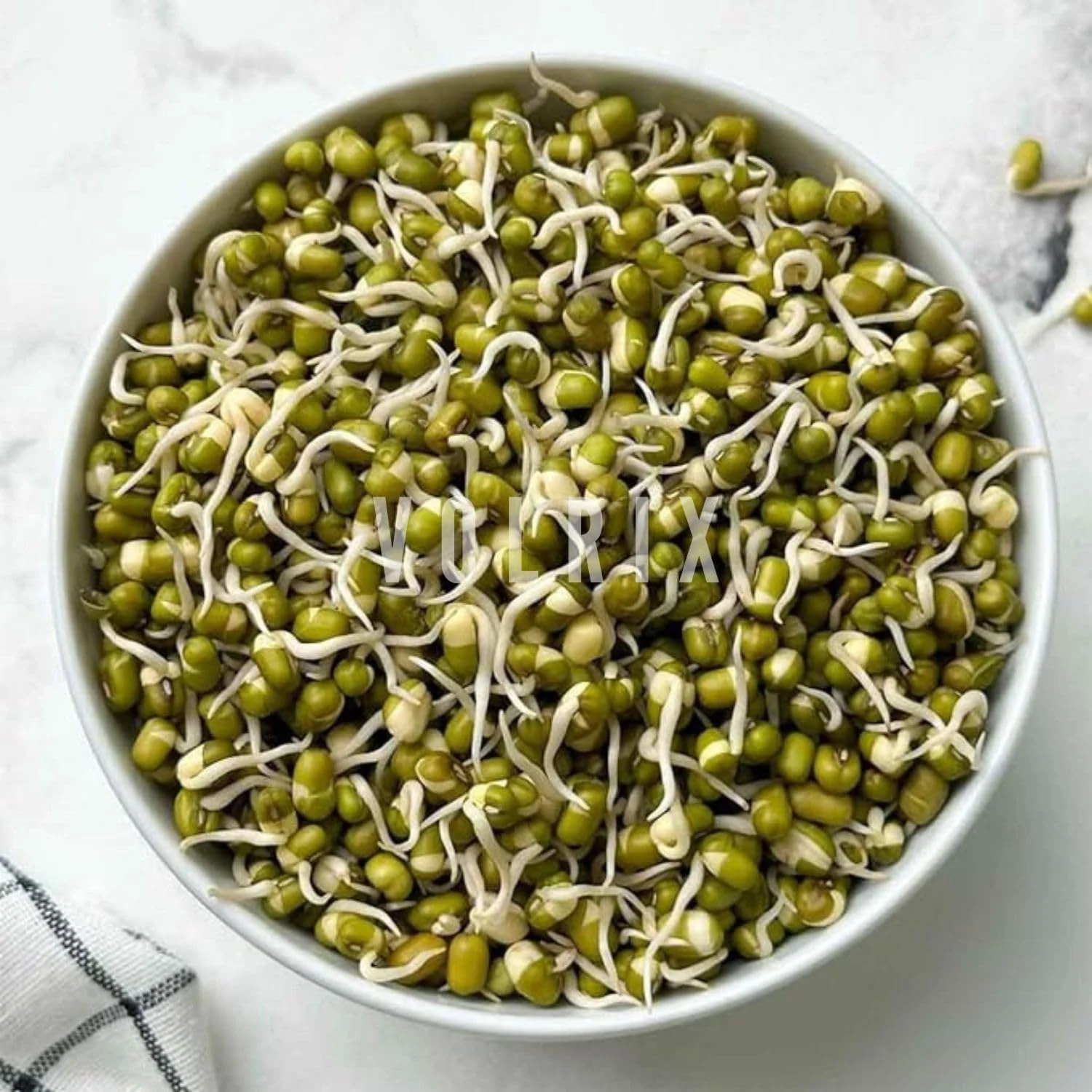 mechdel Stainless Steel Hole Puri Dabbas/Sprout Maker - Image 5