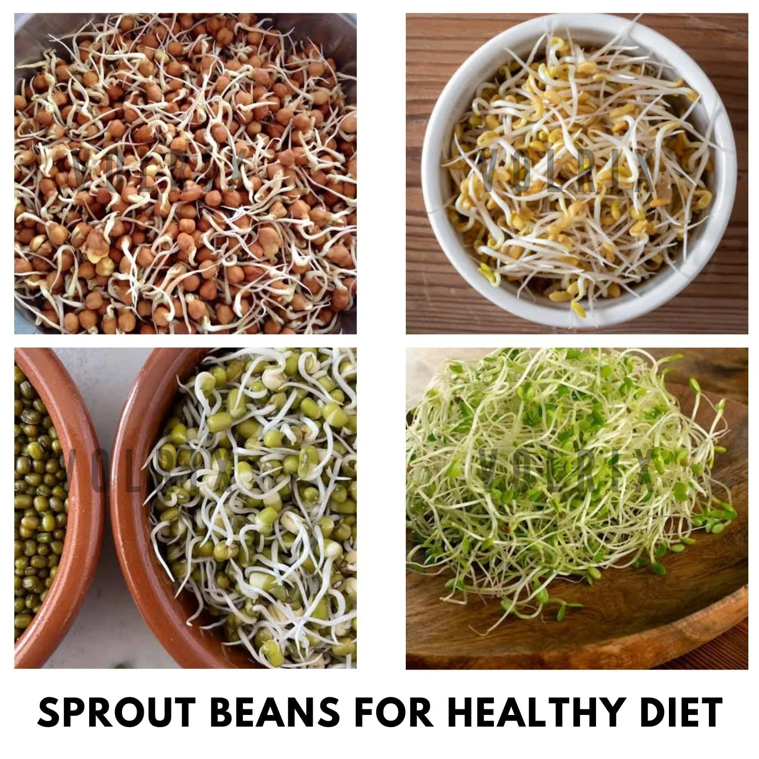 mechdel Stainless Steel Hole Puri Dabbas/Sprout Maker - Image 6